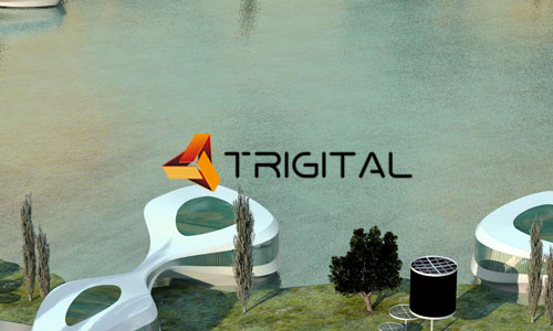 Salas-Trigital